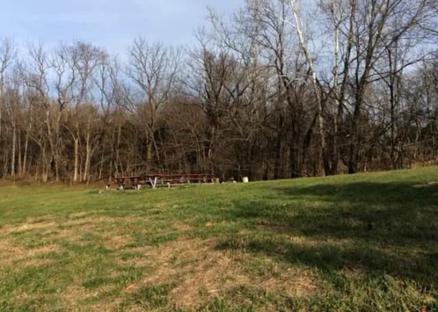 Site 3 with fire ring and picnic benches.