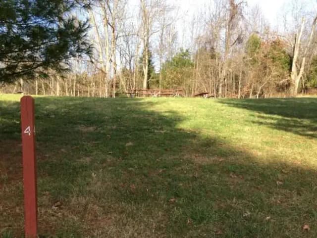 Site 4 with fire ring and picnic benches.