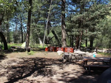 Campsite #26, the group site, is for tent campers only with 8 to 24 people. Fees are charged per person, per night.