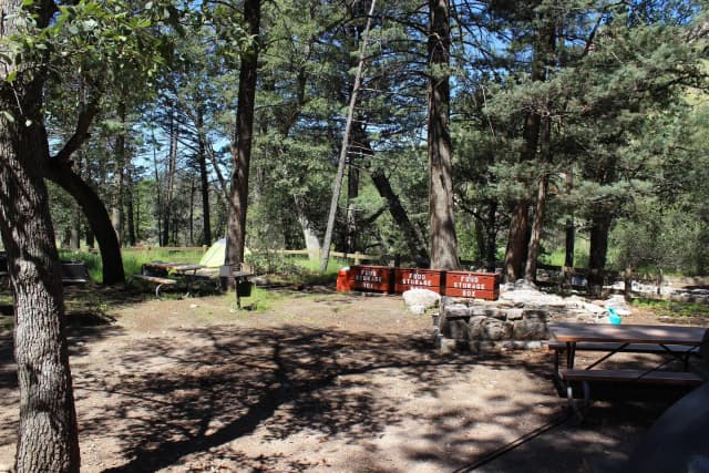 Campsite #26, the group site, is for tent campers only with 8 to 24 people. Fees are charged per person, per night.