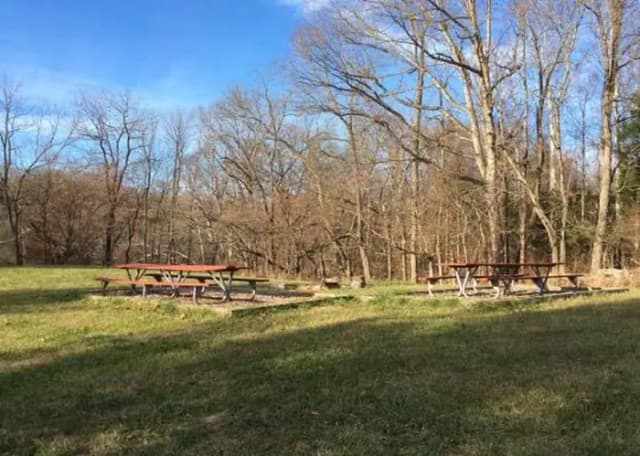 Site 5 with fire ring and picnic benches.