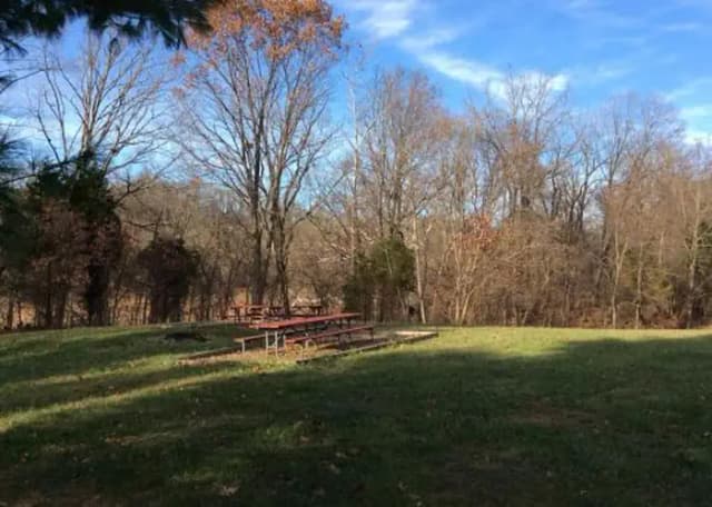 Site 6 with fire ring and picnic benches