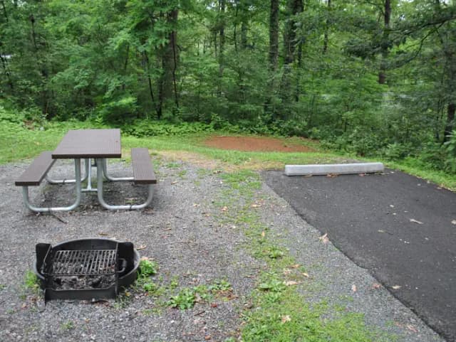 Mathews Arm Campground - Site B121