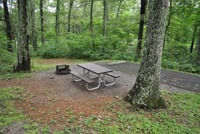 Mathews Arm Campground - Site B122