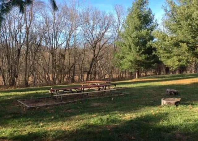 Site 7 with fire ring and picnic benches