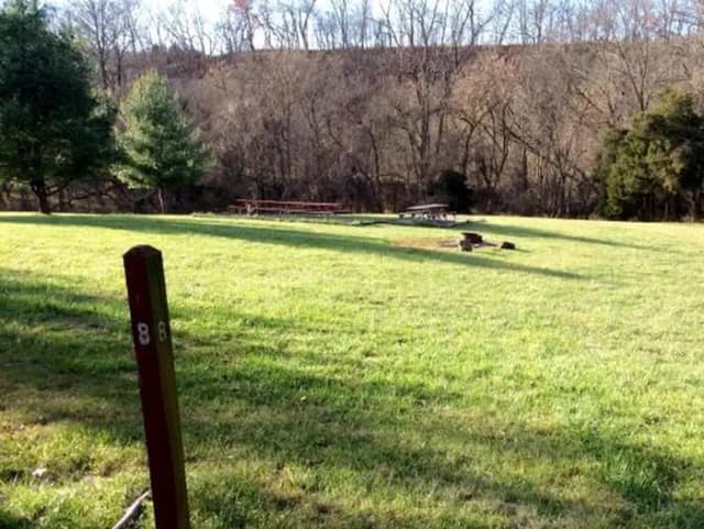 Site 8 with fire ring and picnic benches.