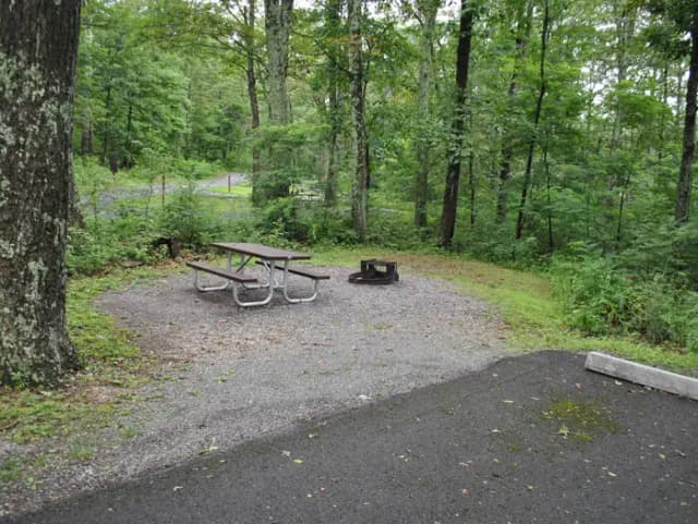Mathews Arm Campground - Site B123