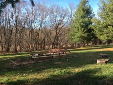 Site 7 with fire ring and picnic benches.