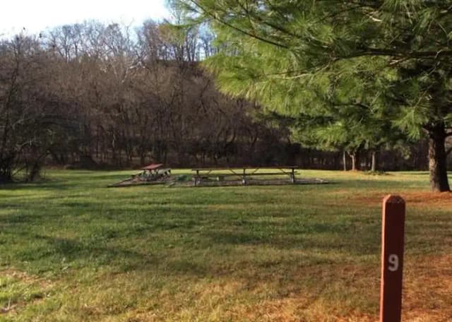 Site 9 with fire ring and picnic benches.