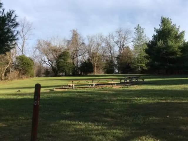 Site 10 with fire ring and picnic benches.