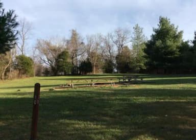 Site 10 with fire ring and picnic benches.