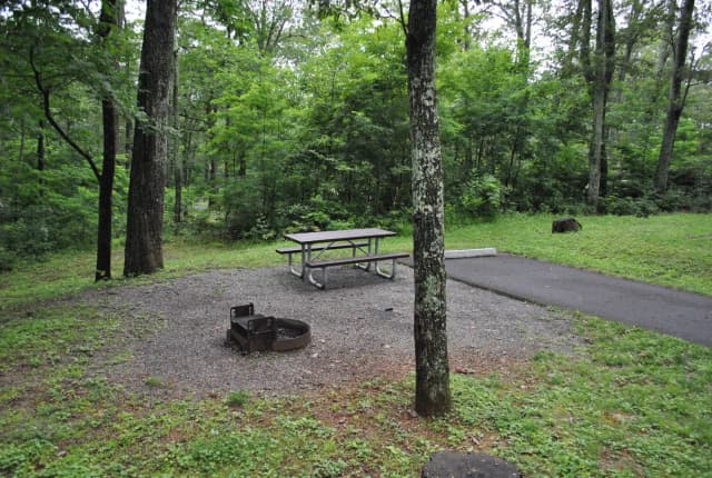 Mathews Arm Campground - Site B124