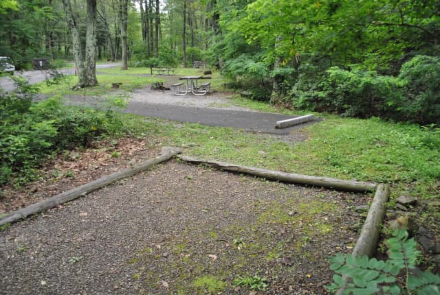 Mathews Arm Campground - Site B125