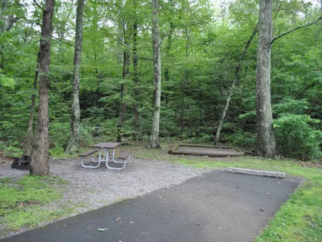 Mathews Arm Campground - Site B128