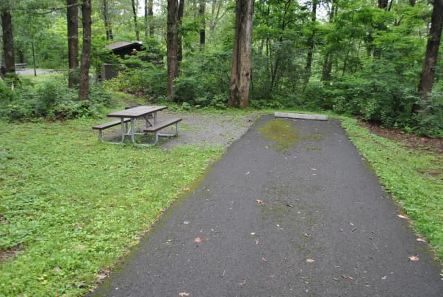 Mathews Arm Campground - Site B129