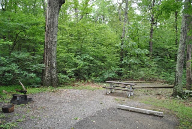 Mathews Arm Campground - Site B130