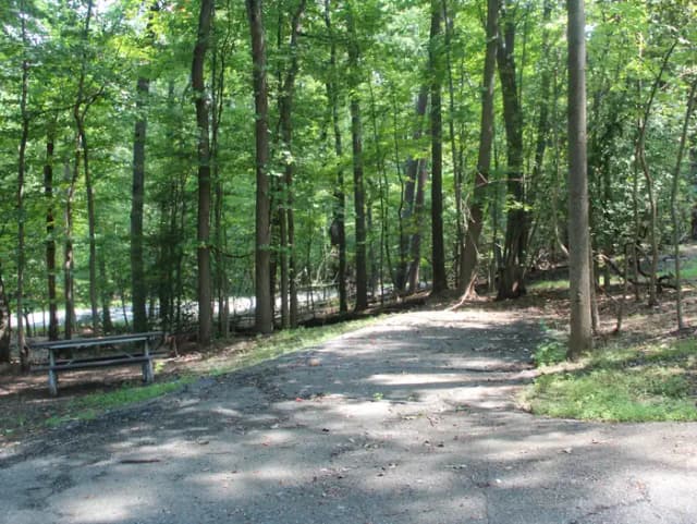 B Loop Site 49 Greenbelt Park Md campground (former Site 48)
