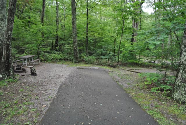 Mathews Arm Campground - Site B131