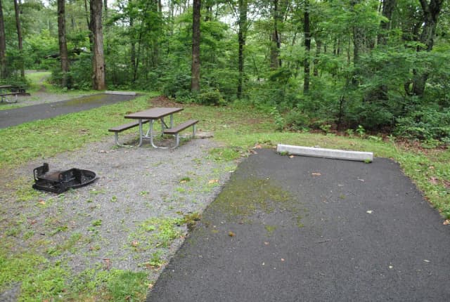 Mathews Arm Campground - Site B132