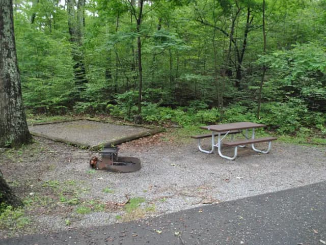 Mathews Arm Campground - Site B133