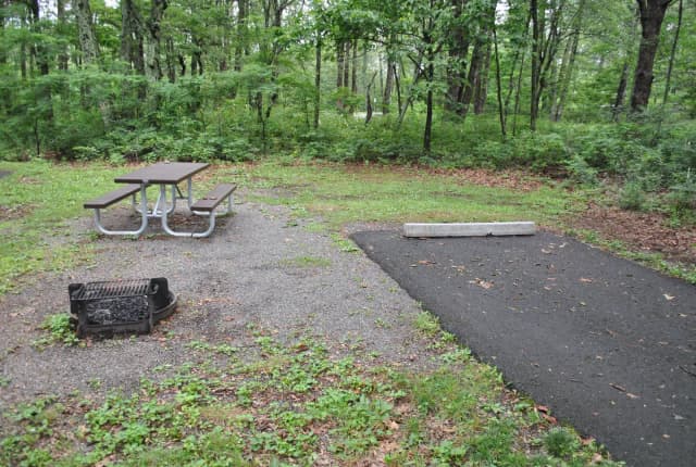 Mathews Arm Campground - Site B134