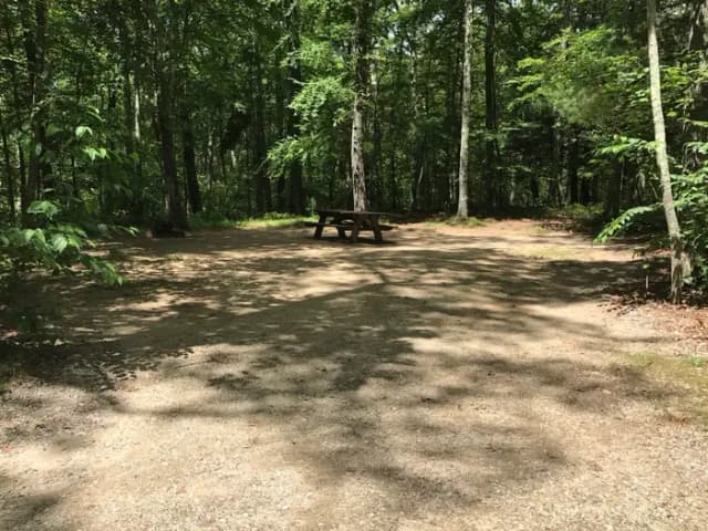 Loop A · Site 13 at West Thompson Lake Campground