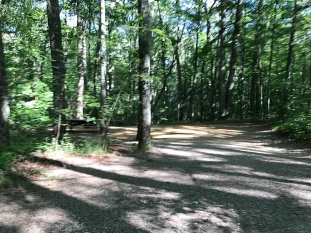 Loop A · Site 15 at West Thompson Lake Campground
