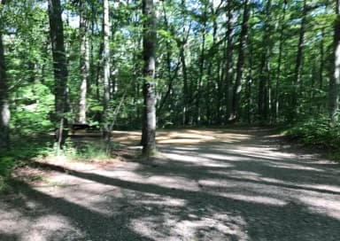 Loop A · Site 15 at West Thompson Lake Campground