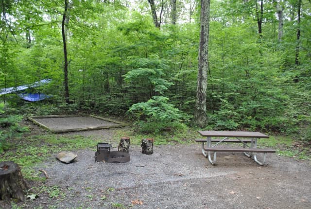 Mathews Arm Campground - Site B135