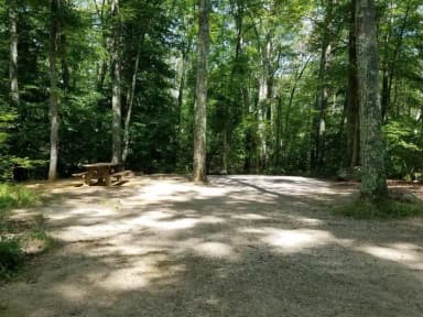 Loop A · Site 17 at West Thompson Lake Campground