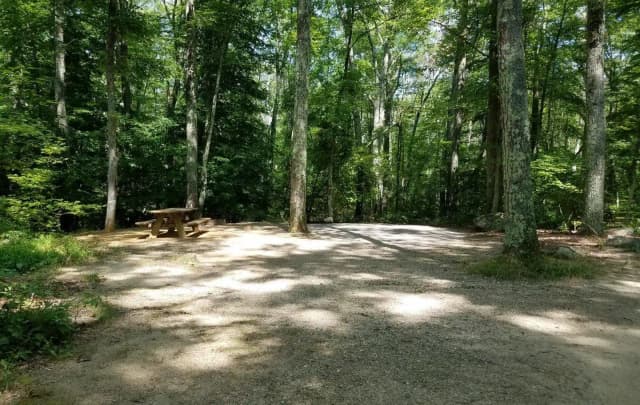 Loop A · Site 17 at West Thompson Lake Campground