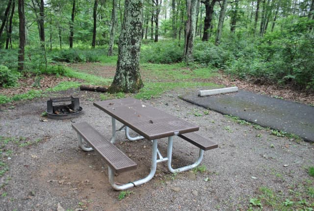 Mathews Arm Campground - Site B138