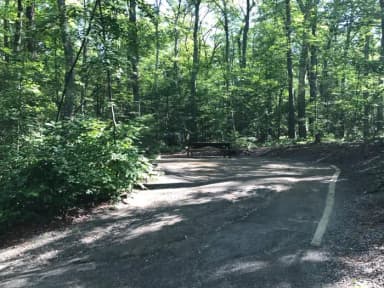 Loop A · Site 20 at West Thompson Lake Campground