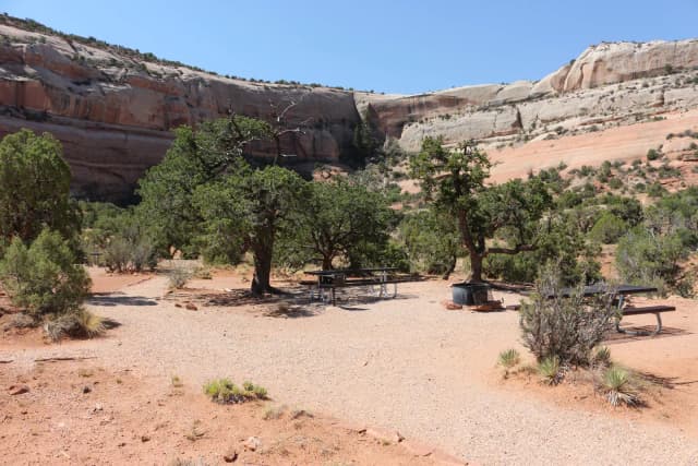 Windwhistle Group Site camping area with picnic tables and a fire pit. Tall, slick rock walls line the horizon.