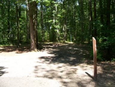 Loop ASPE · Site A098 at Mill Creek Camping (Berlin Lake)