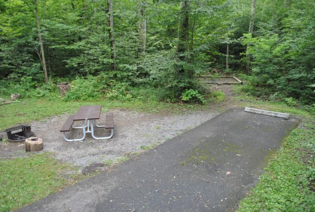 Mathews Arm Campground - Site B139