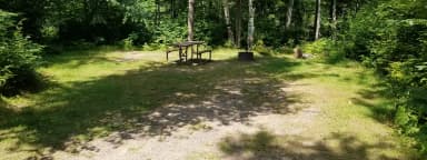 Site #20