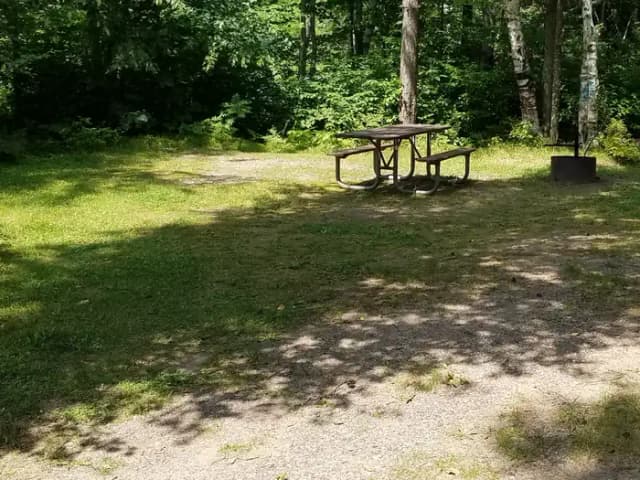Site #20