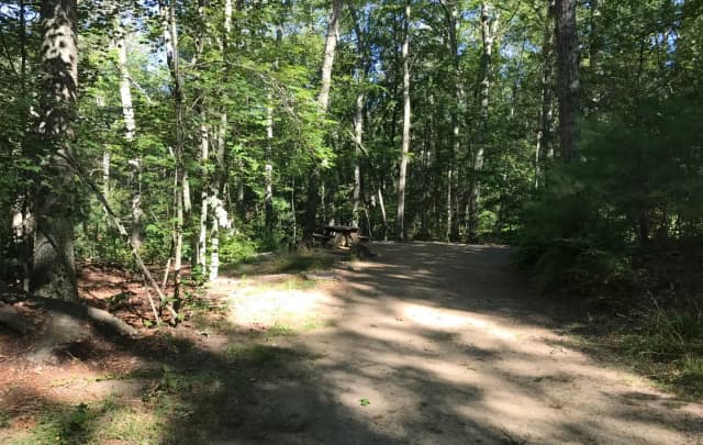 Loop A · Site 22 at West Thompson Lake Campground