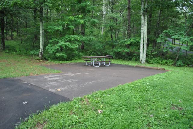 Mathews Arm Campground - Site C144