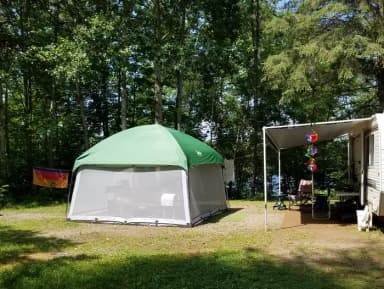 Site 024 at Black Lake