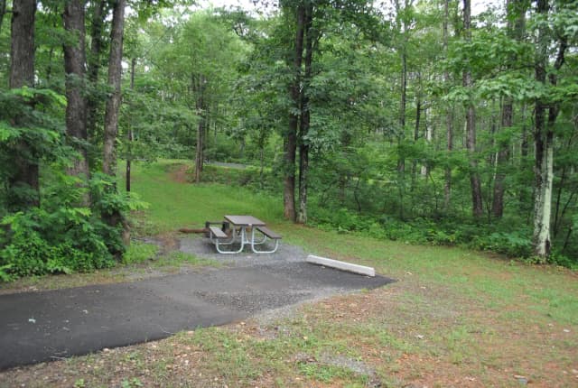 Mathews Arm Campground - Site C145