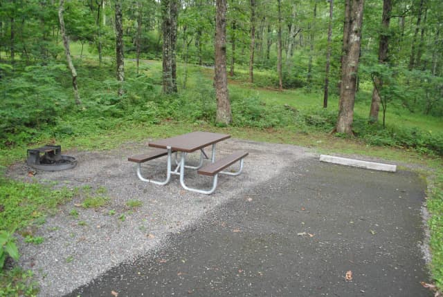 Mathews Arm Campground - Site C146
