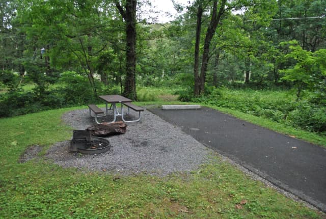 Mathews Arm Campground - Site C147