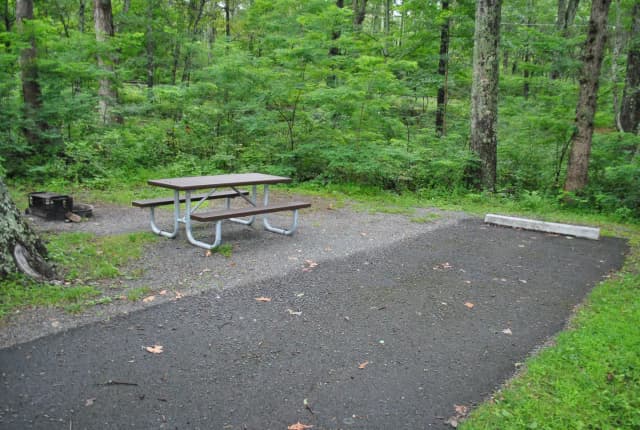 Mathews Arm Campground - Site C148