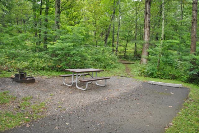 Mathews Arm Campground - Site C150