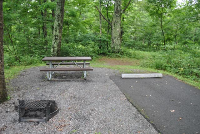 Mathews Arm Campground - Site C151