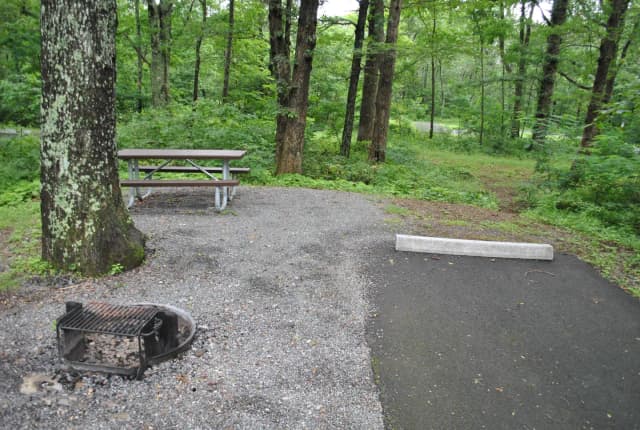 Mathews Arm Campground - Site C153
