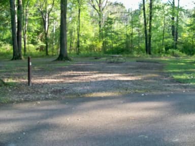 Buckeye · Site B03 at Mill Creek Camping (Berlin Lake)