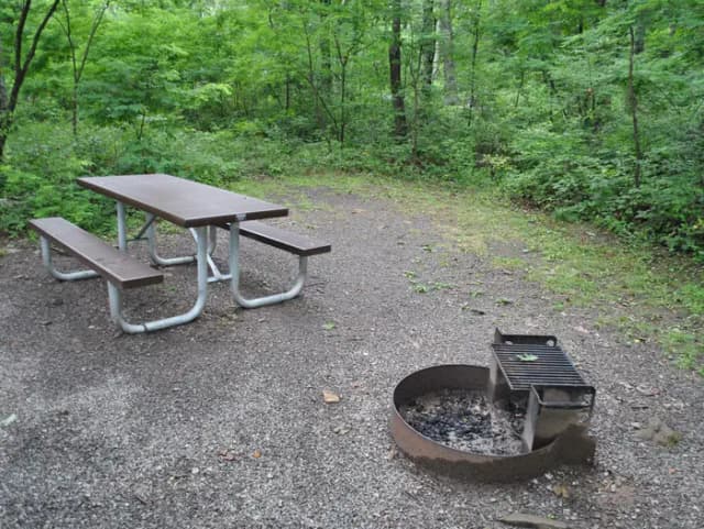 Mathews Arm Campground - Site C154